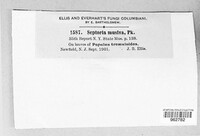 Sphaerulina musiva image